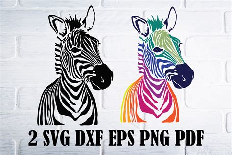 Download 618+ Zebra Design Cricut SVG